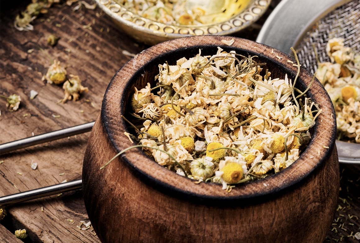 Chamomile