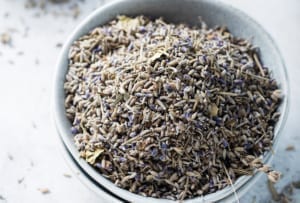 Lavandula intermedia