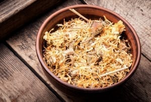 Calendula officinalis