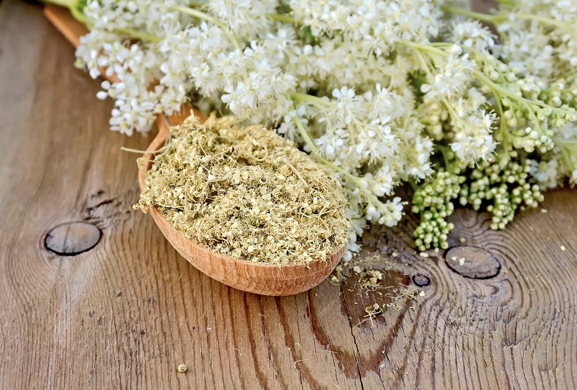 Meadowsweet