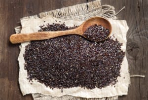 Plantago psyllium